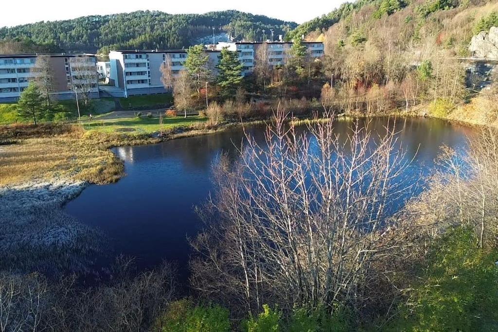 Your Dream Studio In Bergen Kültér fotó